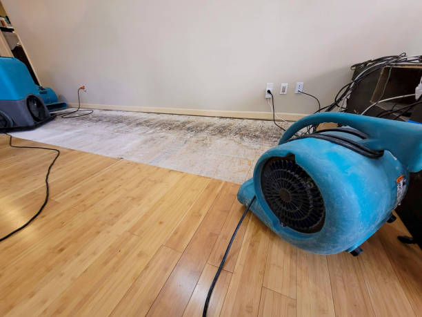 Professional Structural Drying technician working in Saint Jo, TX